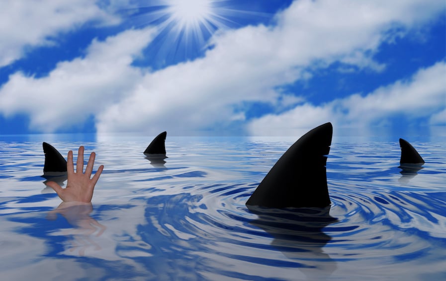 Top Financial Management Lessons Learned From 'Shark Tank'